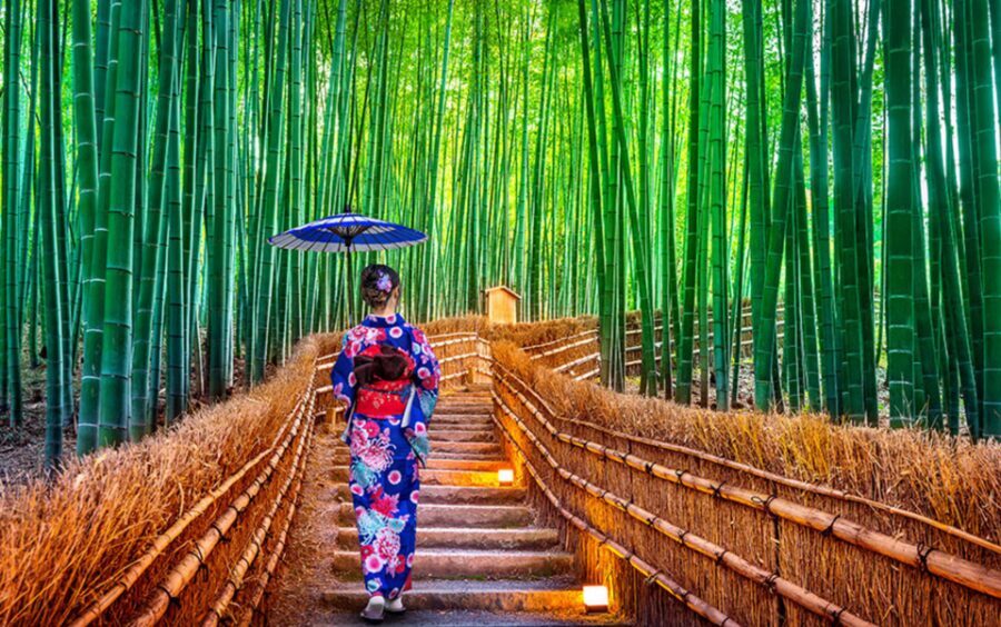Kyoto Day Tour with Certified Tour Guide & Luxury vehicle - Arashiyama: bamboo-area photos, shopping time, and the train ride