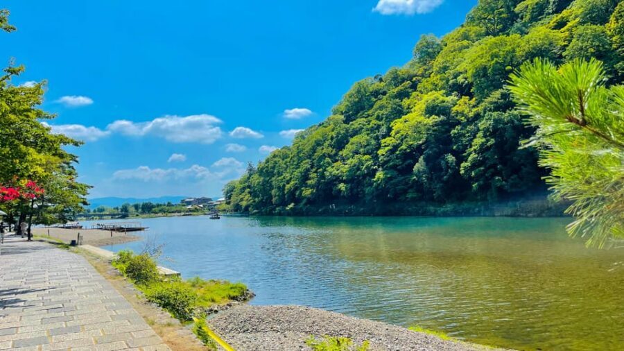 Kyoto Day Tour with Certified Tour Guide & Luxury vehicle - Kiyomizu-dera: viewpoints, guided time, and a short class moment
