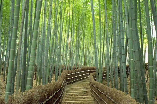 Kyoto Day Trip using Private Car with English Driver (up to 5) - The day plan: 10 hours that don’t feel like a race