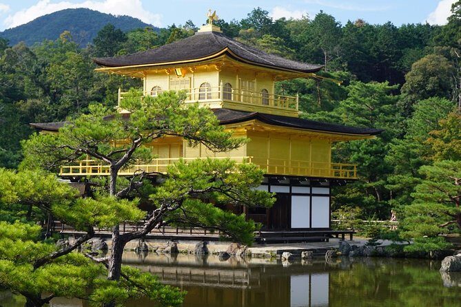 Kyoto Day Trip using Private Car with English Driver (up to 5) - Price and value: what you’re actually paying for (and what you’re not)