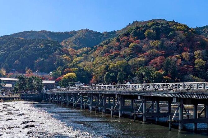 Kyoto Early Bird English Tour: Fushimi-Inari and Arashiyama - Arashiyama bamboo forest street: calm pacing in the green corridor