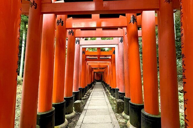 Kyoto Early Bird English Tour: Fushimi-Inari and Arashiyama - Who this Kyoto early bird tour suits best