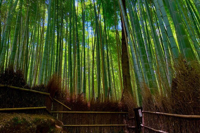 Kyoto Early Bird English Tour: Fushimi-Inari and Arashiyama - Moving between stops with a max-8 group