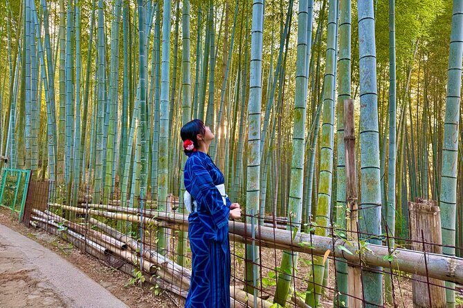Kyoto Early Bird English Tour: Fushimi Inari & Gion(Private opt) - Stop 6 and 7: Gion’s Old Streets and the Walk to Yasaka Shrine