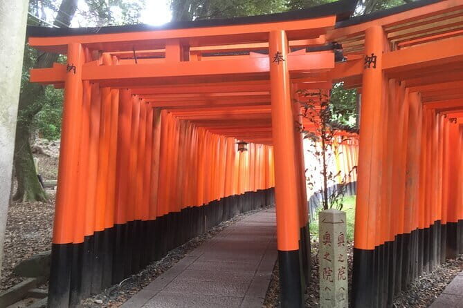 Kyoto Early Bird Tour: Fushimi Inari, Arashiyama Bamboo & Monkeys - The Pace and Logistics: A 4–5 Hour Walking/Hiking Morning