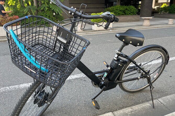 Kyoto Early Morning E Biking Tour Fushimi Inari Kiyomizu Temple - Price and value: what $67.41 really buys you