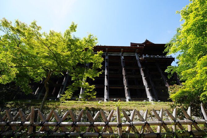 Kyoto Early Morning E Biking Tour Fushimi Inari Kiyomizu Temple - Who this e-bike tour is best for