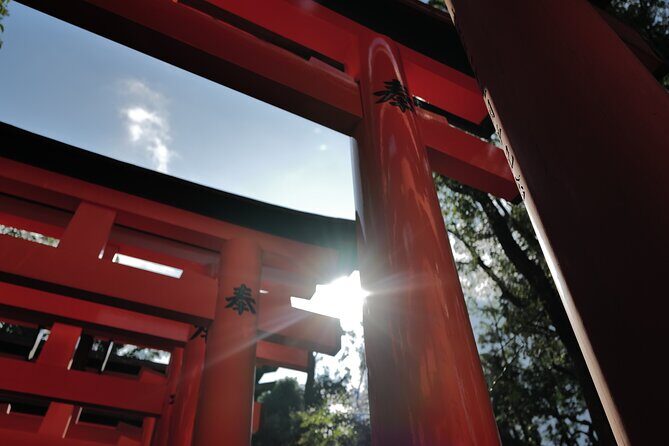 Kyoto: Early Morning Tour with English-Speaking Guide - Pace, Walking, and Who This Tour Fits Best