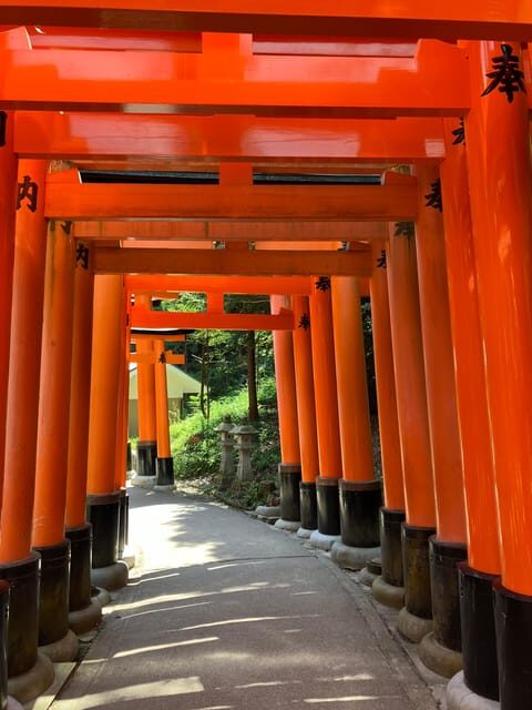 Kyoto: Essential Tour with Fushimi Inari & Bamboo Grove - Key things that make this Kyoto tour worth your time