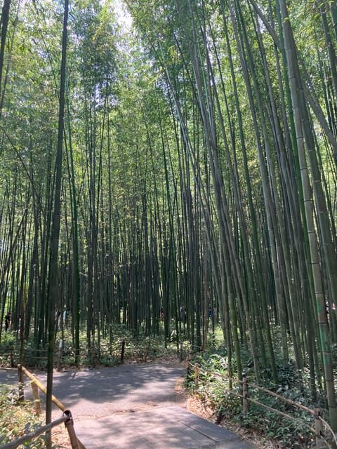 Kyoto: Essential Tour with Fushimi Inari & Bamboo Grove - How the 210-minute plan keeps Kyoto from wearing you out