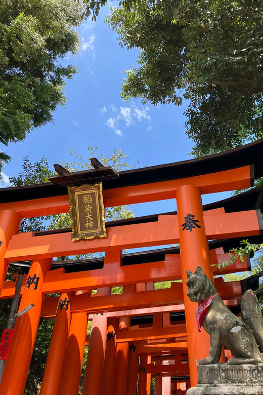 Kyoto: Essential Tour with Fushimi Inari & Bamboo Grove - Should you book Kyoto: Essential Tour with Fushimi Inari & Bamboo Grove?