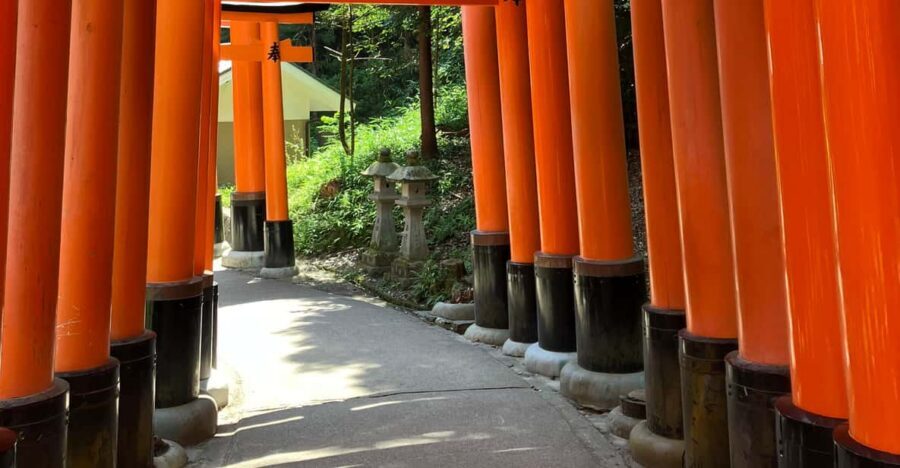 Kyoto: Essential Tour with Fushimi Inari & Bamboo Grove - Arashiyama Bamboo Grove: quiet walking, light through bamboo, and the area’s story
