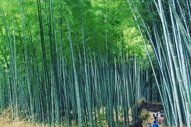 KYOTO Explore Top Highlights by Private Walking Tour - Who This Tour Is Best For
