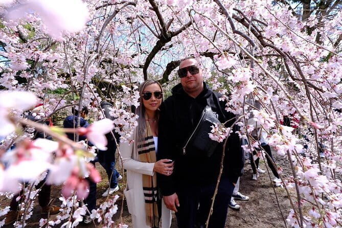KYOTO Explore Top Highlights by Private Walking Tour - How the Route Knits Together: 8 Hours, Big Distance, Smart Stops