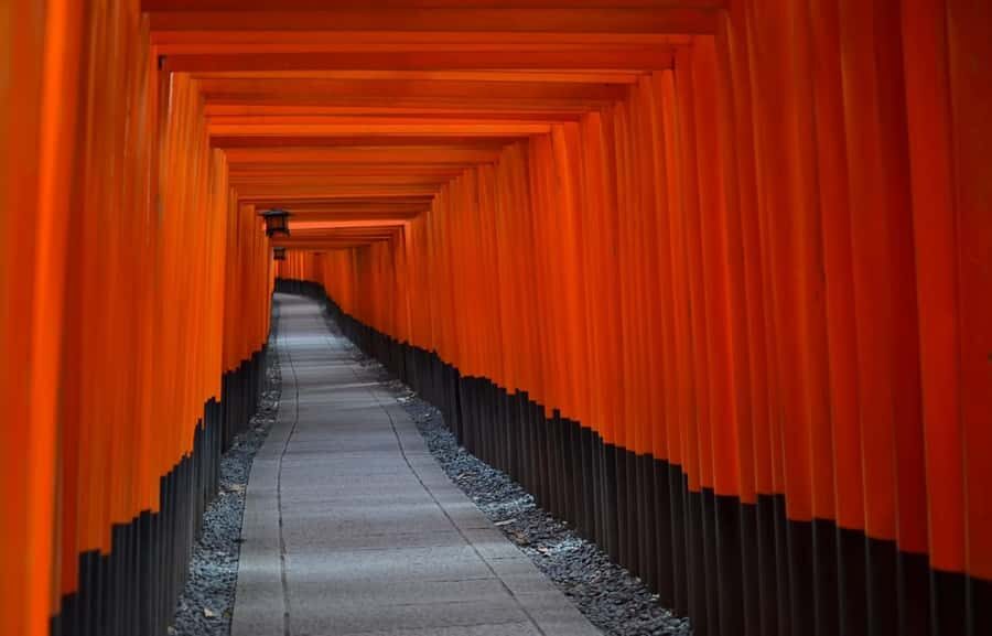 Kyoto : Flexible 3 hours Tour with a English Speaking guide. - So, should you book this Kyoto flexible tour?