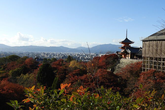Kyoto Full Day (8 hours) Ultimate Sightseeing Private Tour - Stop 3: Fushimi Inari Taisha and the Torii-Gate Rhythm