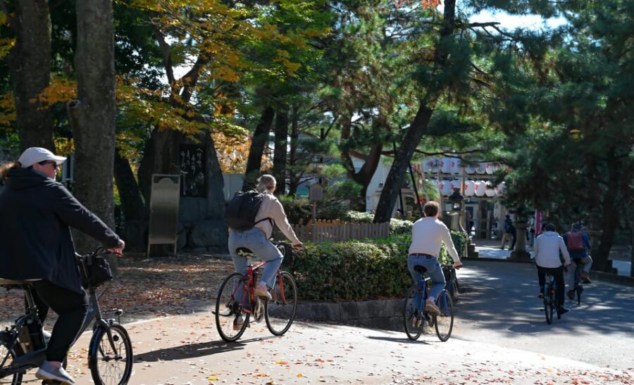 Kyoto: Full Day Bike Tour - Lunch in the middle of the day: food stop beats searching between landmarks