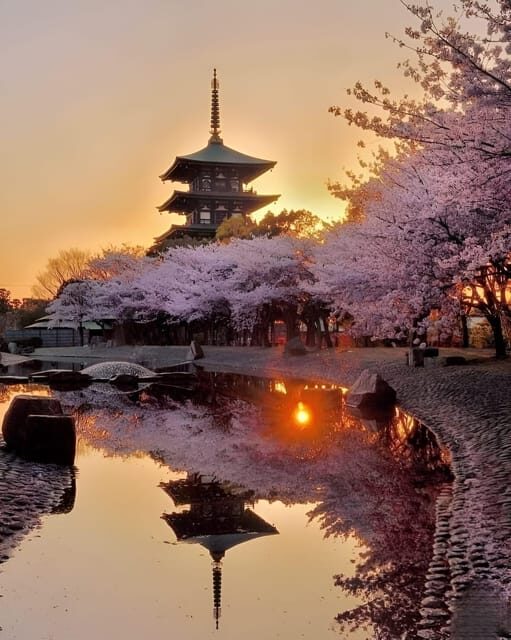 Kyoto full day private day trip with English speaking driver - Kiyomizu-dera Temple and the UNESCO View Moment