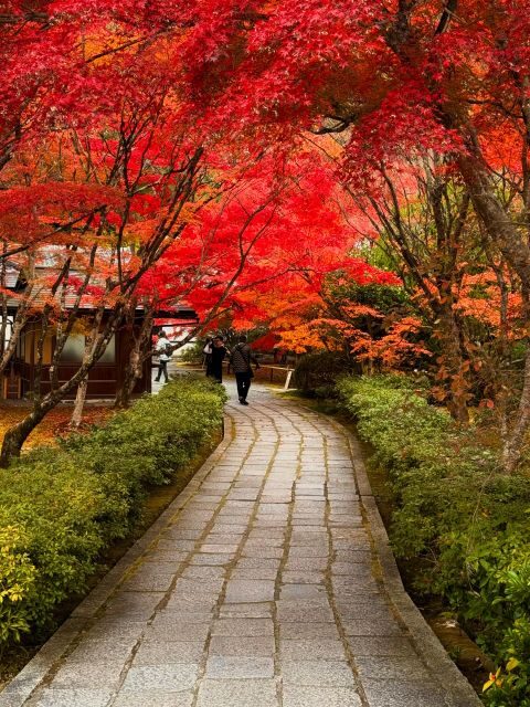 Kyoto: Fully customizable your own tour in the old capital - Price and value: what $365 per group actually buys