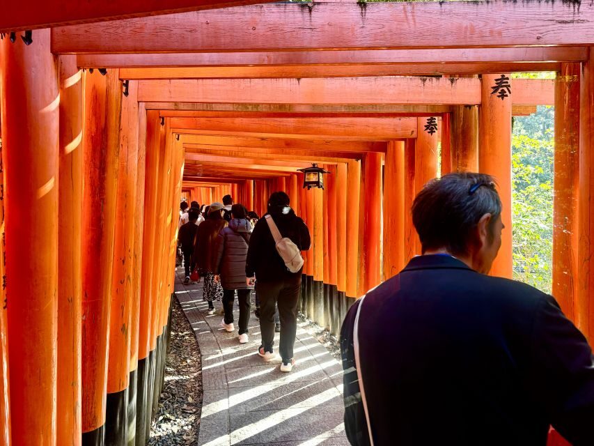 Kyoto: Fully customizable your own tour in the old capital - Golden Pavilion and Zen temple time (without the rushed feeling)