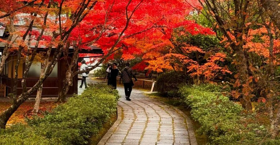 Kyoto: Fully customizable your own tour in the old capital - Arashiyama and Kiyomizudera: scenery days that still feel personal