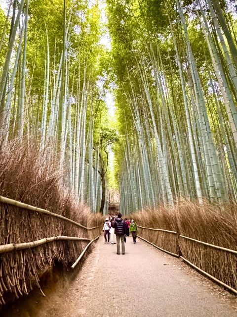 Kyoto: Fully customizable your own tour in the old capital - Meeting Nori: pick-up from Kyoto Station or Shijō Station