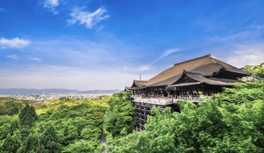 Kyoto: Fully-Customized One-day Private Tour - Gion on foot: reading the neighborhood, not just photographing it