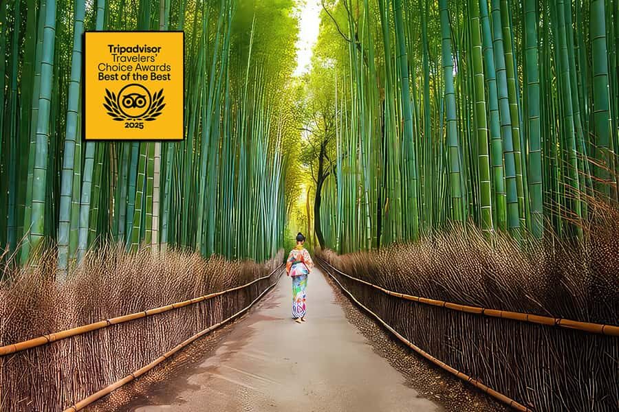 Kyoto: Fushimi, Arashiyama - Bamboo, Monkey, Torii & Secrets - Key things you’ll notice on this Kyoto loop