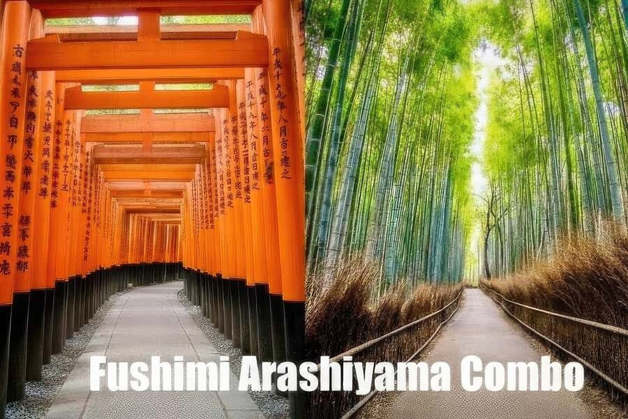 Kyoto: Fushimi, Arashiyama - Bamboo, Monkey, Torii & Secrets - Tour at a glance: what $88 buys you in Kyoto