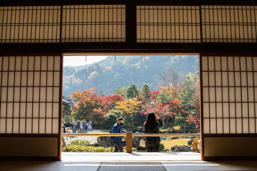 Kyoto: Fushimi, Arashiyama - Bamboo, Monkey, Torii & Secrets - Arashiyama Bamboo Grove: that famous forest feel, with real walking time