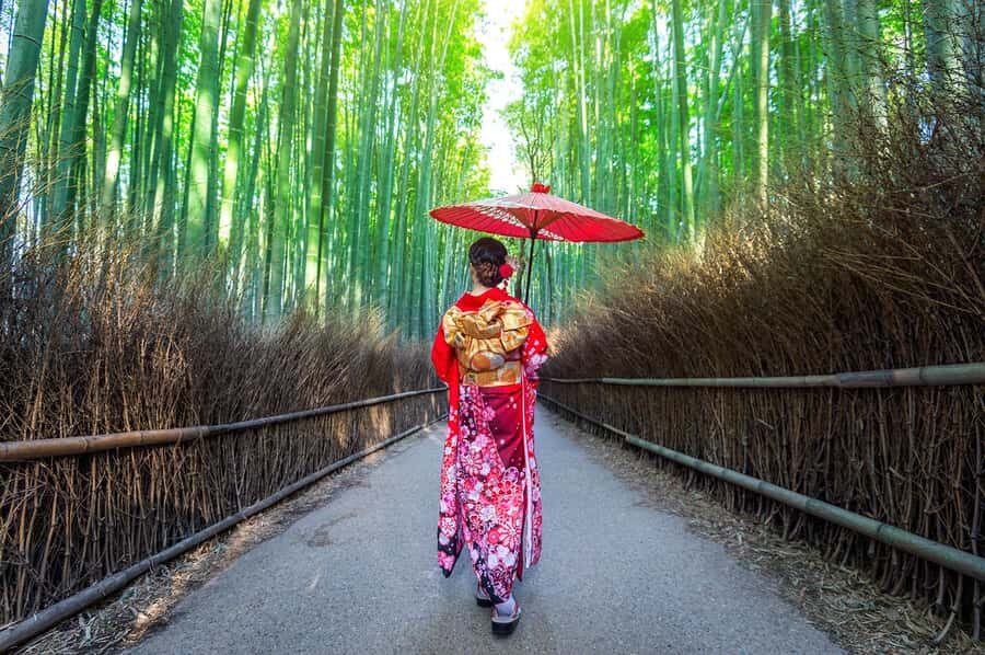 Kyoto: Fushimi, Arashiyama - Bamboo, Monkey, Torii & Secrets - Tenryuji Temple’s Zen garden: where you catch your breath