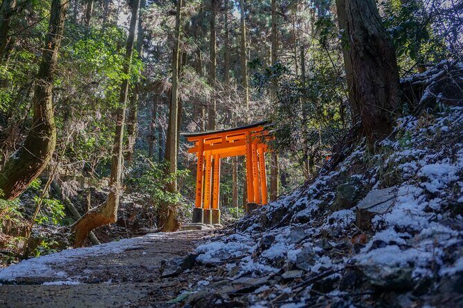Kyoto: Fushimi Inari Hidden Hike (Private) - Key things that make this private Fushimi Inari hike work