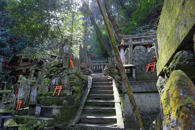Kyoto: Fushimi Inari Hidden Hike (Private) - Fushimi Inari Taisha: torii, bamboo groves, and the Senbon Torii flow