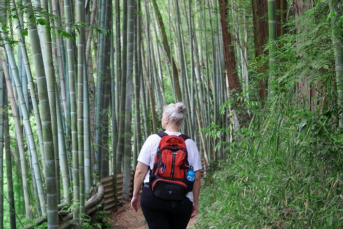 Kyoto: Fushimi Inari Hidden Hike (Private) - Fushimi Momoyama Castle views on the descent: a satisfying finish