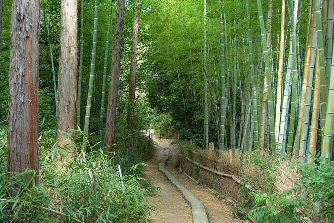 Kyoto: Fushimi Inari Hidden Hike (Private) - Who this private hike is best for