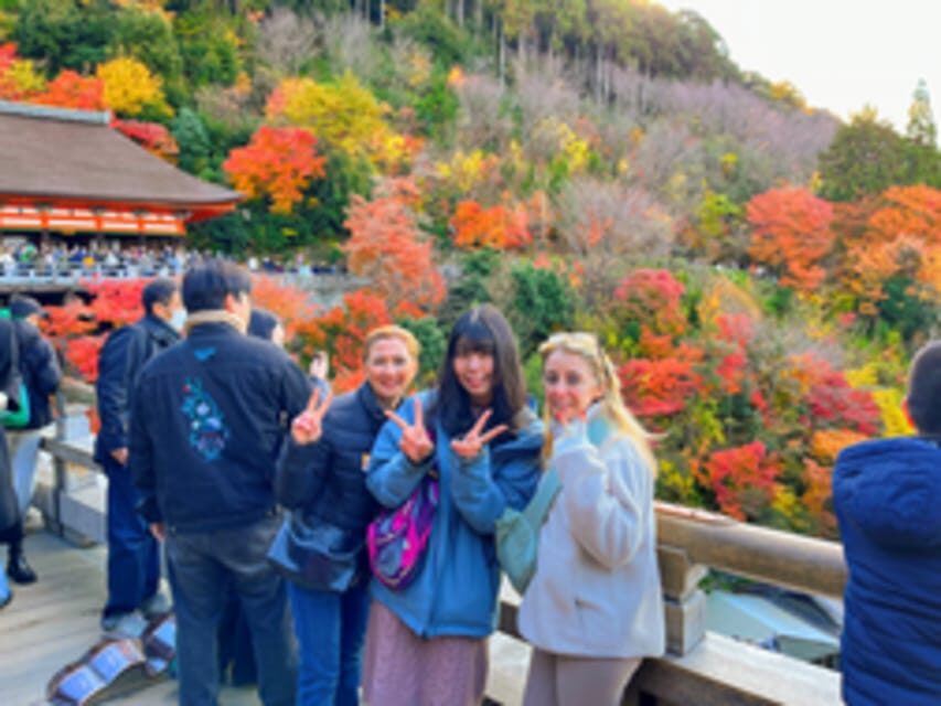 Kyoto: Fushimi Inari, Kinkakuji, Bamboo Grove 1 Day Bus Tour - Nijo Castle pass-by: a quick window from the bus