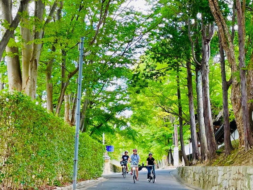 Kyoto: Fushimi Inari Shrine and Tofukuji Temple E-Bike Tour - How an e-bike Kyoto route saves your energy (and your patience)