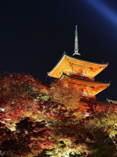 Kyoto: Fushimi Inari-taisha y Kiyomizu-dera (Spanish Guide) - Key points before you go