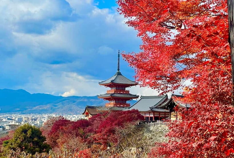 Kyoto: Fushimi Inari-taisha y Kiyomizu-dera (Spanish Guide) - Fushimi Inari-taisha: the torii trail that keeps going