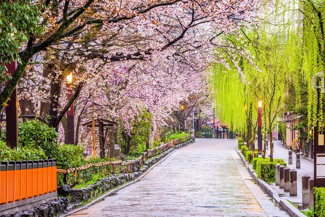 Kyoto Geisha District Walking Tour in Gion - Entering Gion the Right Way: It’s a Maze Without Help
