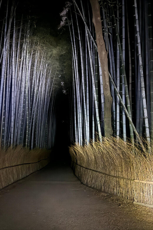 Kyoto: Ghost Tour - Legends, Dark Tales, Bamboo Forest Night - Price and What You Actually Get for $50