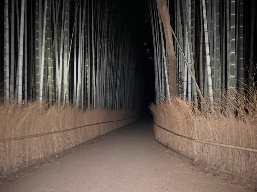 Kyoto: Ghost Tour - Legends, Dark Tales, Bamboo Forest Night - The Drink, the Creepy Surprise, and the Anti-Curse QR Code