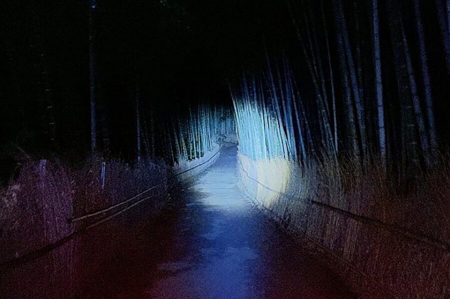 Kyoto: Ghost Tour - Legends, Dark Tales, Bamboo Forest Night - Tips to Stay Spooked but Comfortable