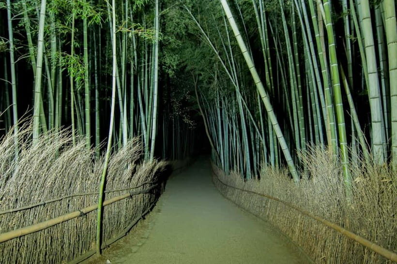Kyoto: Ghost Tour - Legends, Dark Tales, Bamboo Forest Night - Should You Book This Kyoto Ghost Tour?