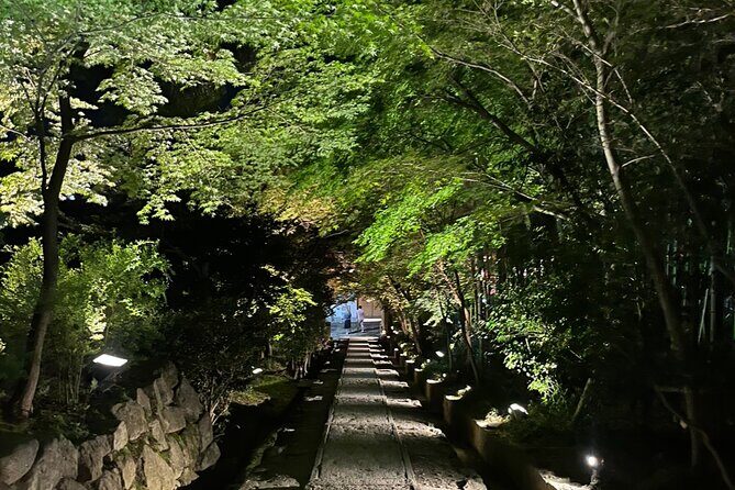 Kyoto: Gion Magical Night Walking Tour - Stop-by-stop: a thoughtful night route through Gion