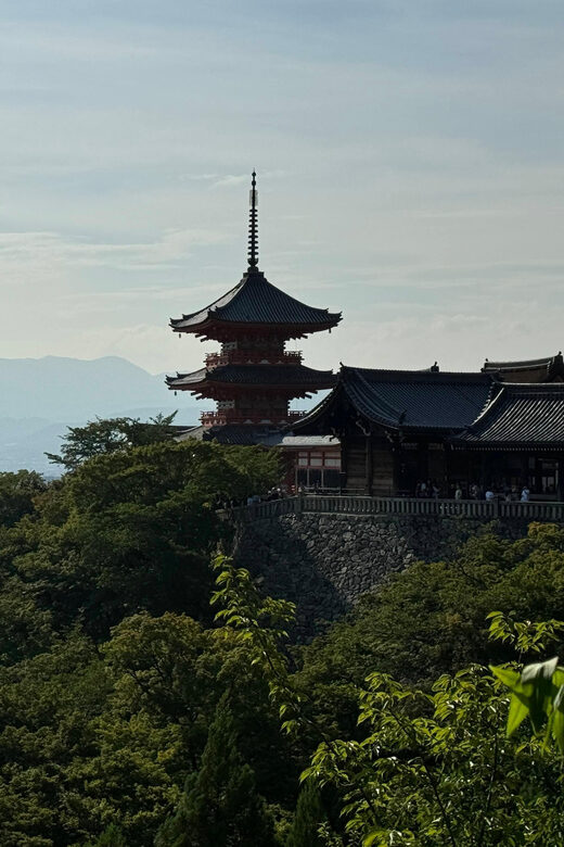 Kyoto: Guided Tour in UNESCO Site, Kiyomizu-dera - 90 Min. - Who this tour fits best (and who might want something else)