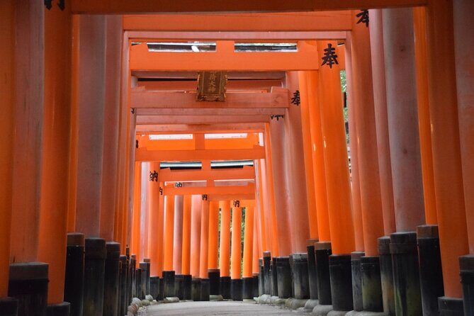 Kyoto Guided Walking Tour Highlight of Kiyomizu & Fushimi Inari - Shichijō Station transfer: the ¥170 train fee you shouldn’t forget