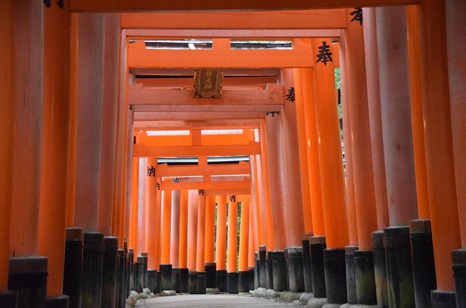 Kyoto Guided Walking Tour Highlight of Kiyomizu & Fushimi Inari - Price and what you’re really paying for ($78.18)