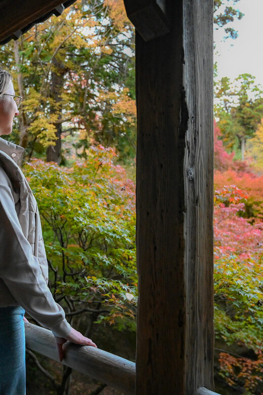 Kyoto: Half-day Guided Bike Tour with Fushimi Inari - Pace, bikes, and the small-group advantage