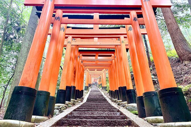 Kyoto Half Day Highlights Tour - Hokan-ji and Yasaka Pagoda: see the five stories without the maze